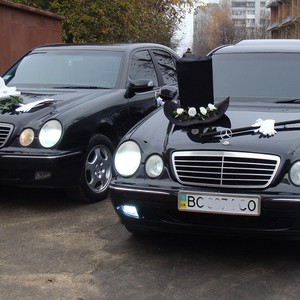 Украшения на свадебные автомобили, фото 2