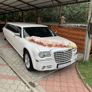 Автомобілі на весілля - Луцьк - Волинська область, фото 15