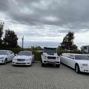 Автомобілі на весілля - Луцьк - Волинська область, фото 4
