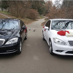Автомобілі на весілля - Луцьк - Волинська область, фото 24