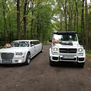 Автомобілі на весілля - Луцьк - Волинська область, фото 19