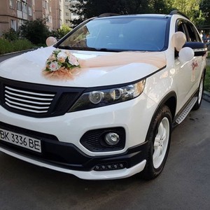 Автомобілі на весілля - Луцьк - Волинська область, фото 10