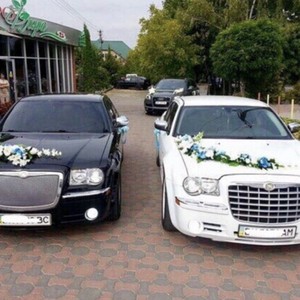 Автомобілі на весілля - Луцьк - Волинська область, фото 21