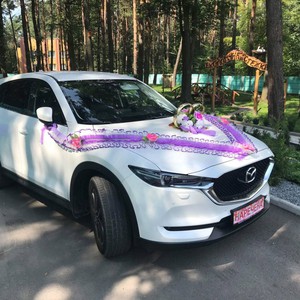 Автомобілі на весілля - Луцьк - Волинська область, фото 9
