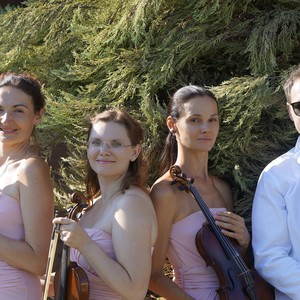 Zefir String Quartet, фото 7