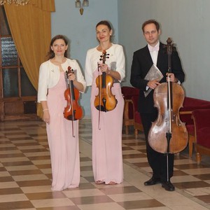 Zefir String Quartet, фото 14